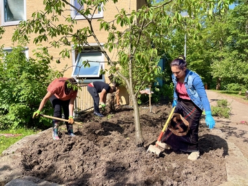 Die Eltern helfen im Garten