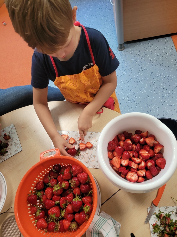 Die Kinder pflücken Erdbeeren.