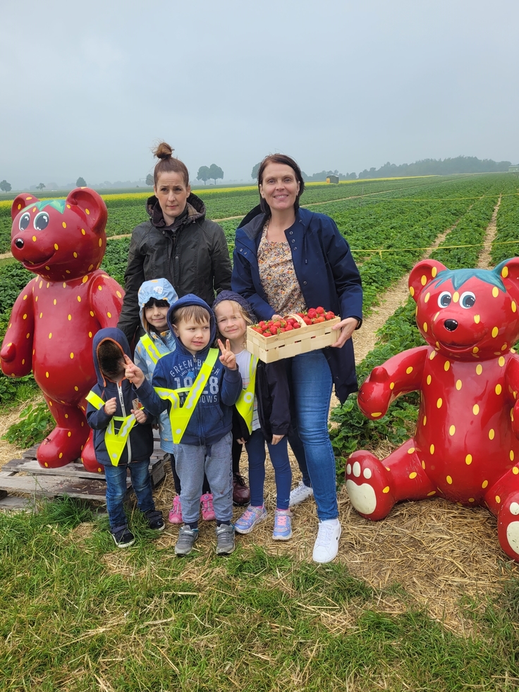 Die Kinder pflücken Erdbeeren.